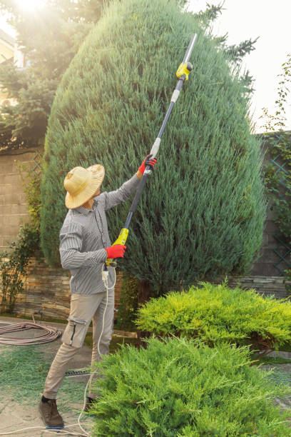 Tree Branch Trimming in Ellaville, GA